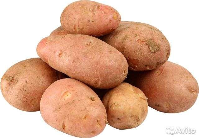 Продам картофель