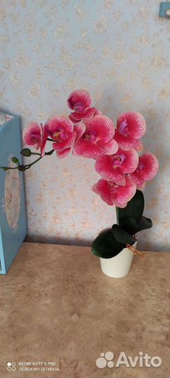 Орхидеи не живые большой выбор