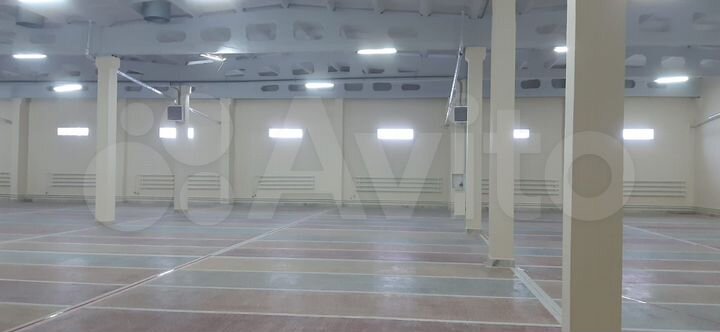 Торговая площадь, 1000 м²