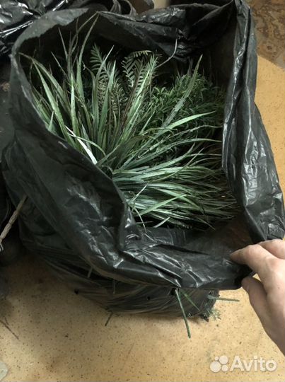 Исскуственная пышная, объемная трава, осока, кусты