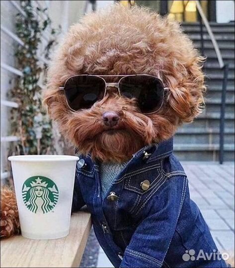 Продавец кассир в продуктовый магазин