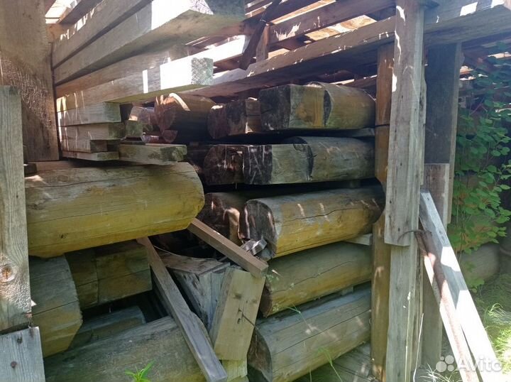 Кедр сибирский сухой