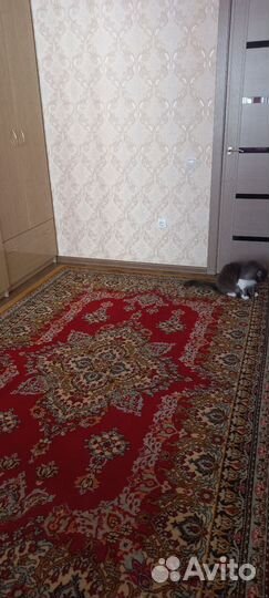 Ковер бу шерстяной