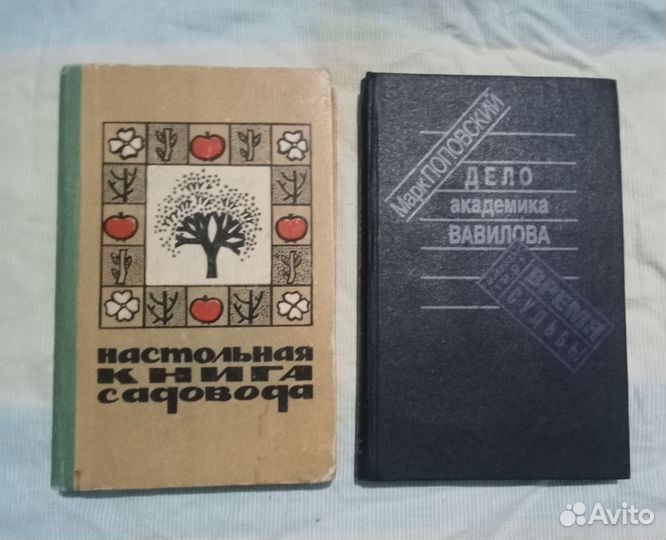 Сад, овощеводство