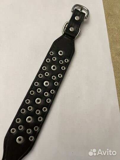 Ошейник для собак мелких пород