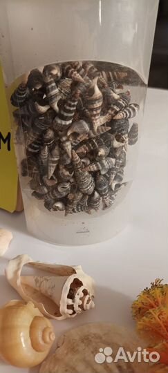 Аквариум, мелочи для него