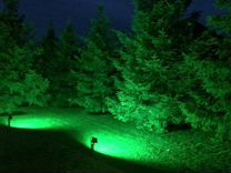 Прожектор зеленый 50W для ландшафтного освещения