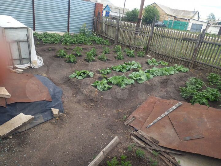 Дом 40 м² на участке 18 сот.