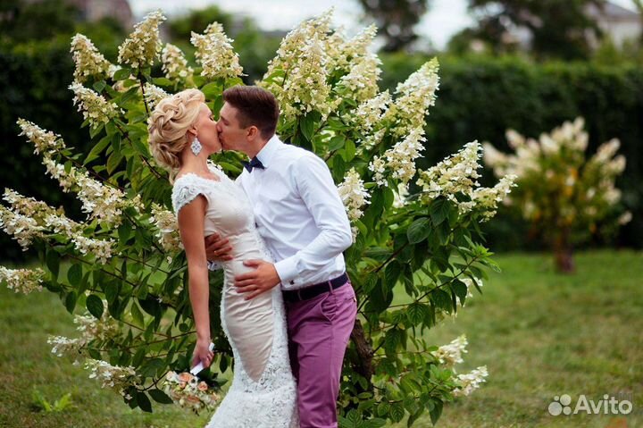 Свадебный Видеооператор, Фотограф