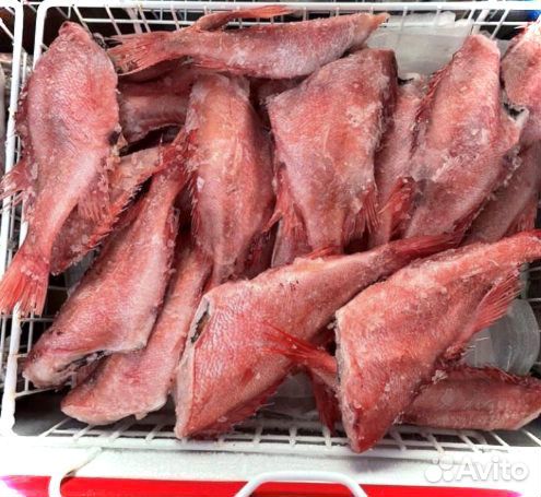 Морской окунь опт