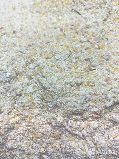 Кукурузная мучка для коров, свиней, кур