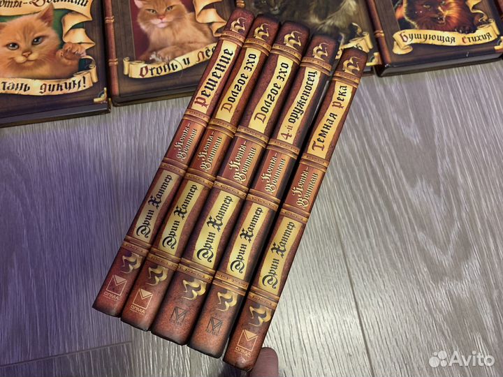 Коты воители книги разные