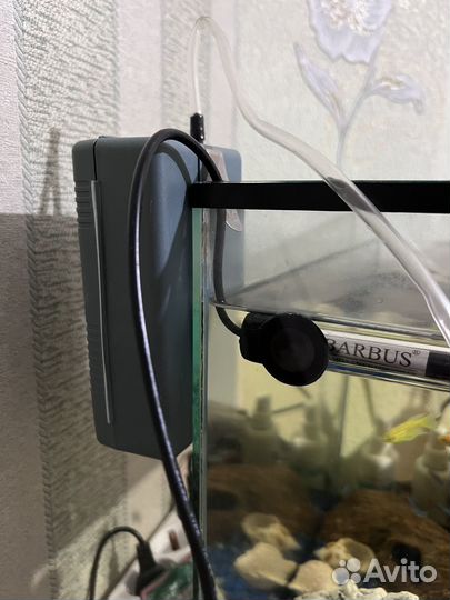 Аквариум на 30 литров