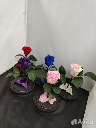 Роза в колбе оптом и в розницу