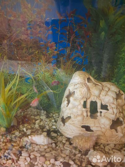 Аквариум с тумбой 130 литров