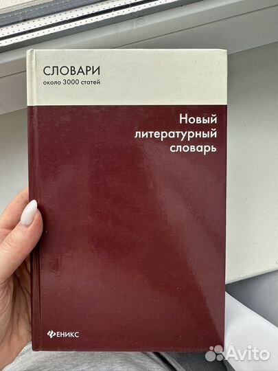 Новый литературный словарь
