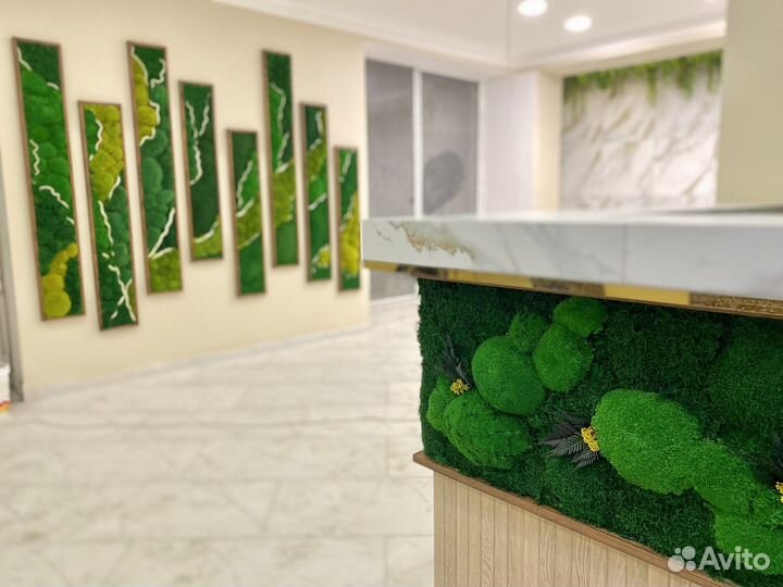 Мох сублимированный. Вертикальное озеленение