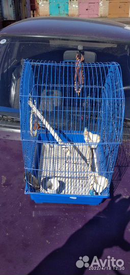 Клетка для попугая бу