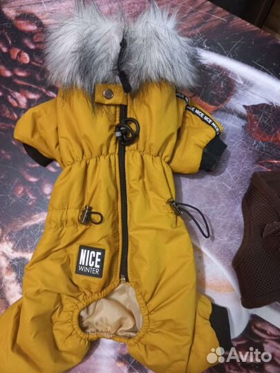 Комбинезон для собаки