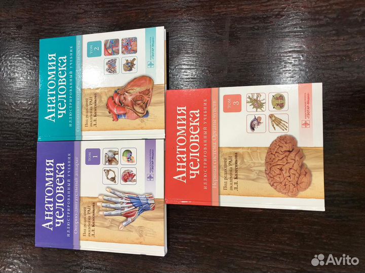 Анатомия