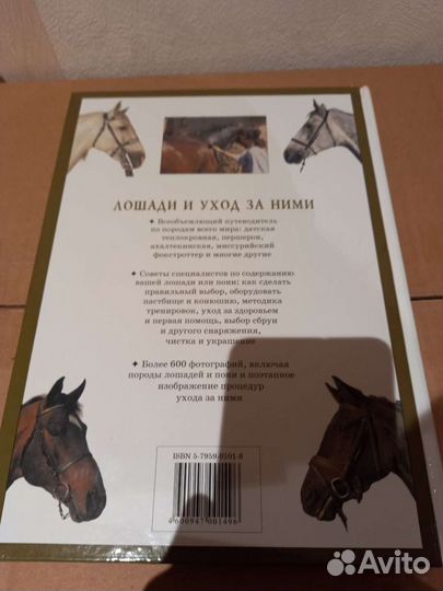 Лошади и уход за ними
