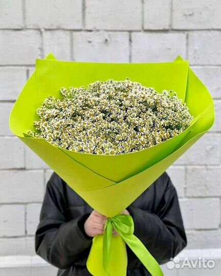 Цветы ромашки. Букеты ромашек. Цветы доставка