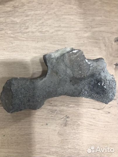 Окаменелости разные