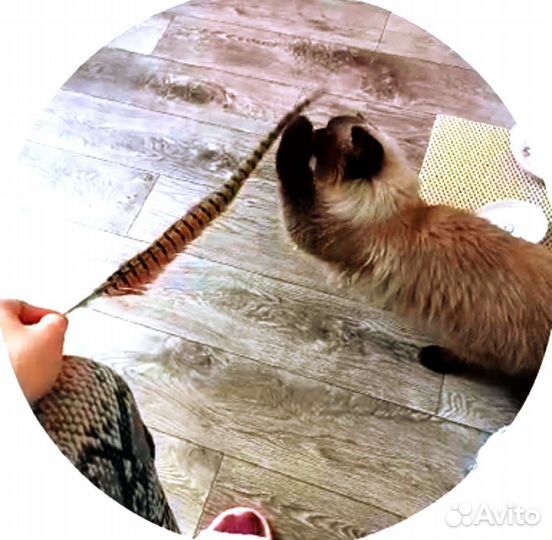 Игрушка для кота