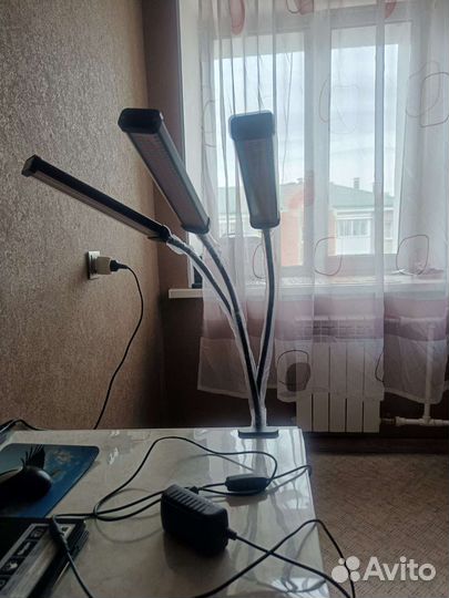 Фито лампа для растений