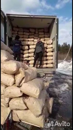 Уголь древесный берёзовый