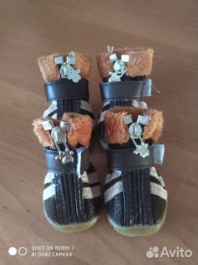 Обувь для собак