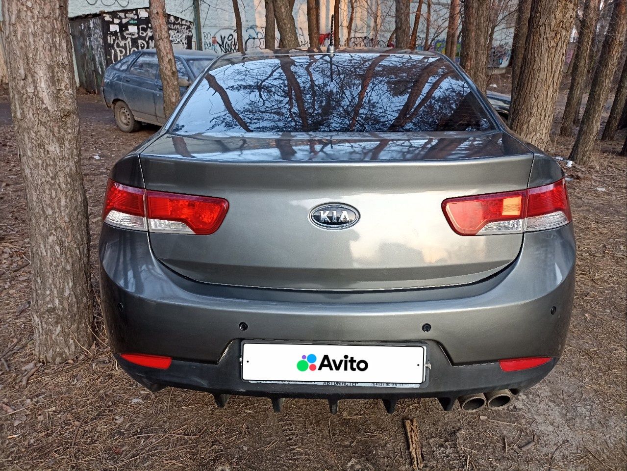 Kia Cerato: фото владельца
