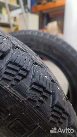 Gislaved Nord Frost 200 195/55 R16 91M