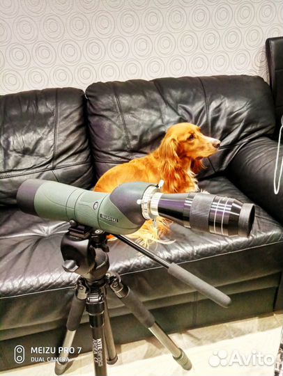 Бинокль swarovski SLC 15X56 NEU