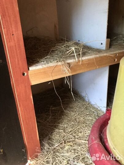 Клетка для птиц