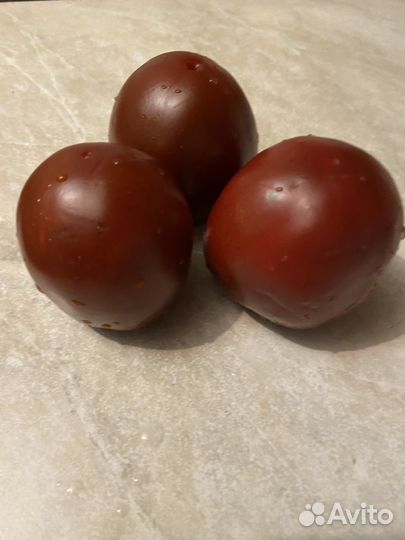 Рассада помидор и перцев