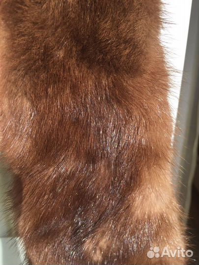 Шкурка животного