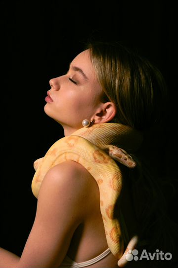 Аренда змей для фотосессий