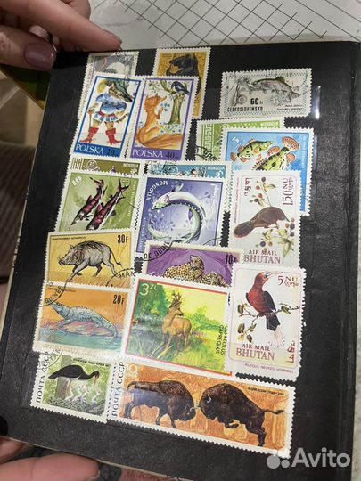 Почтовые марки