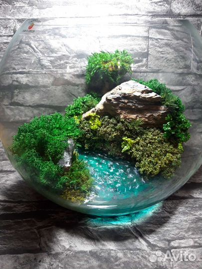 Флорариум/моссариум. Сад в стекле