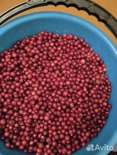 Ягоды свежие