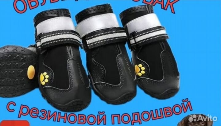 Обувь для собачек