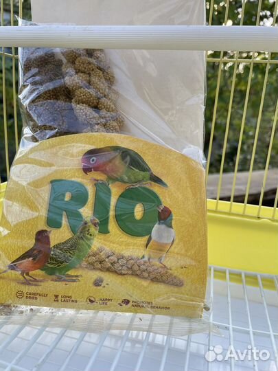 Комплект для канарейки