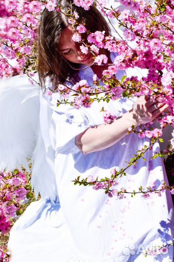 Крылья Ангела аренда/продажа