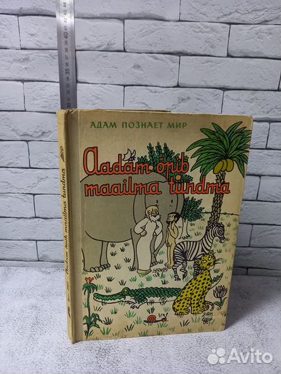 Еффель Ж. Адам познает мир
