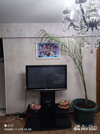 Финиковая пальма