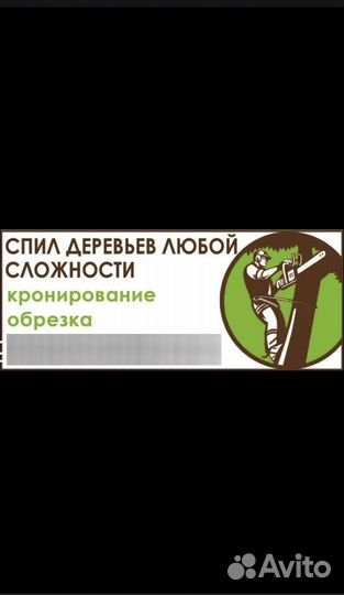 Спил деревьев