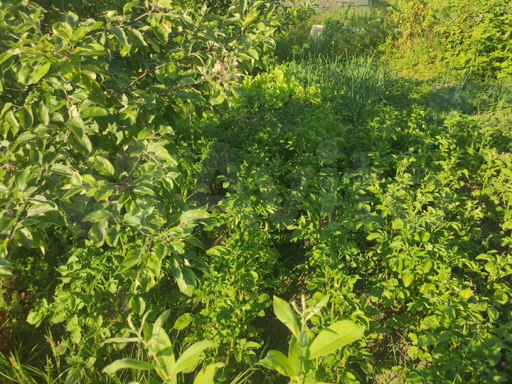 Дом 60 м² на участке 8,1 сот.