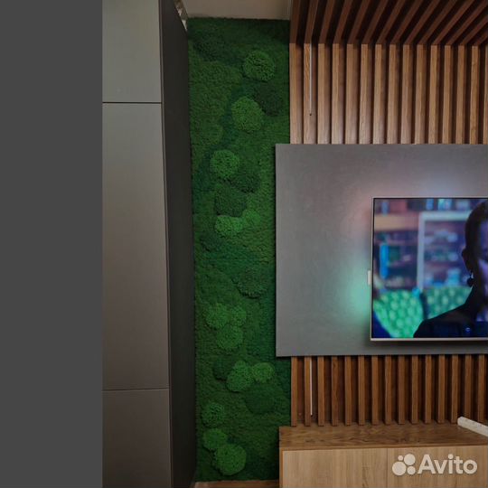 Панели из стабилизированного мха