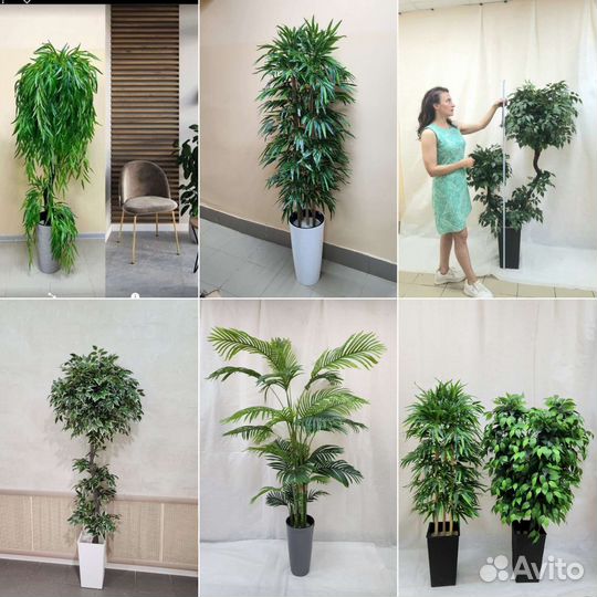 Пальма Премиум искусственная 200см домой, в кафе